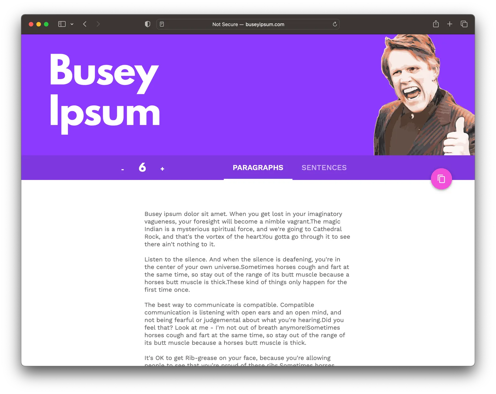 Busey Ipsum